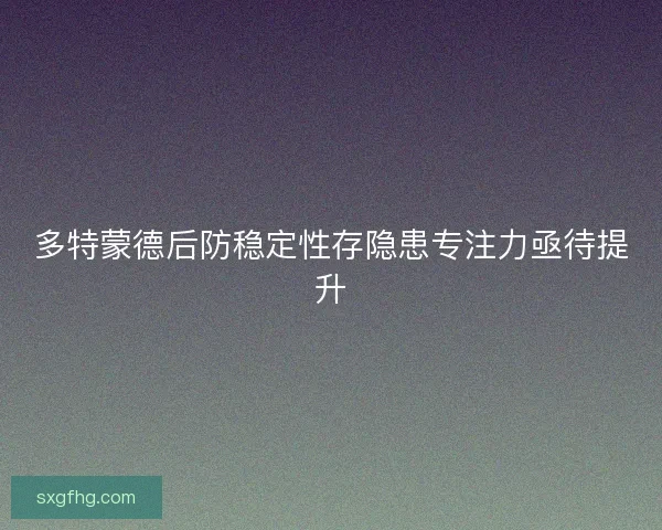 多特蒙德后防稳定性存隐患专注力亟待提升