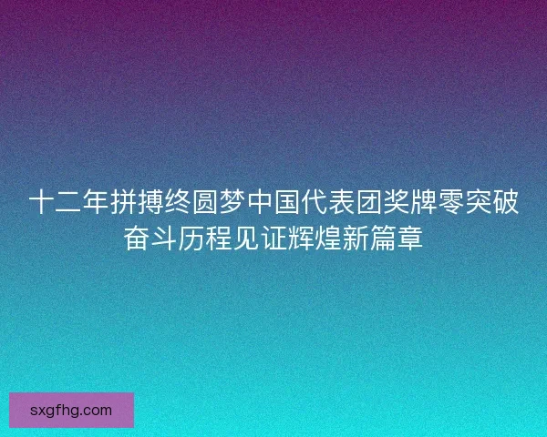 十二年拼搏终圆梦中国代表团奖牌零突破奋斗历程见证辉煌新篇章