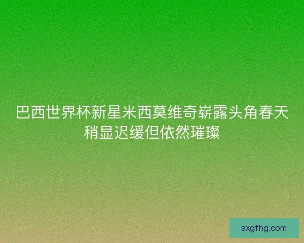 巴西世界杯新星米西莫维奇崭露头角春天稍显迟缓但依然璀璨